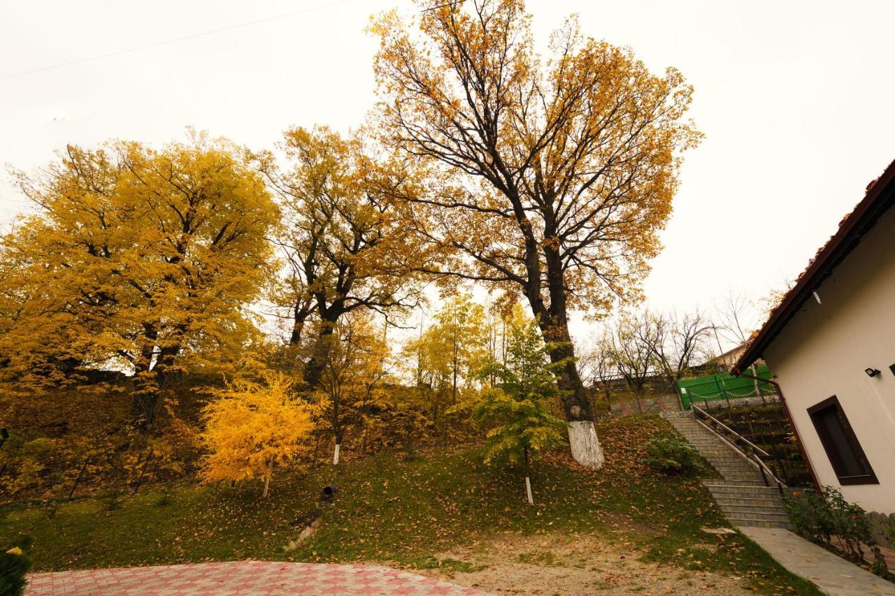 Hotel Stejarul Lui Andrei Izvoarele  Exterior foto