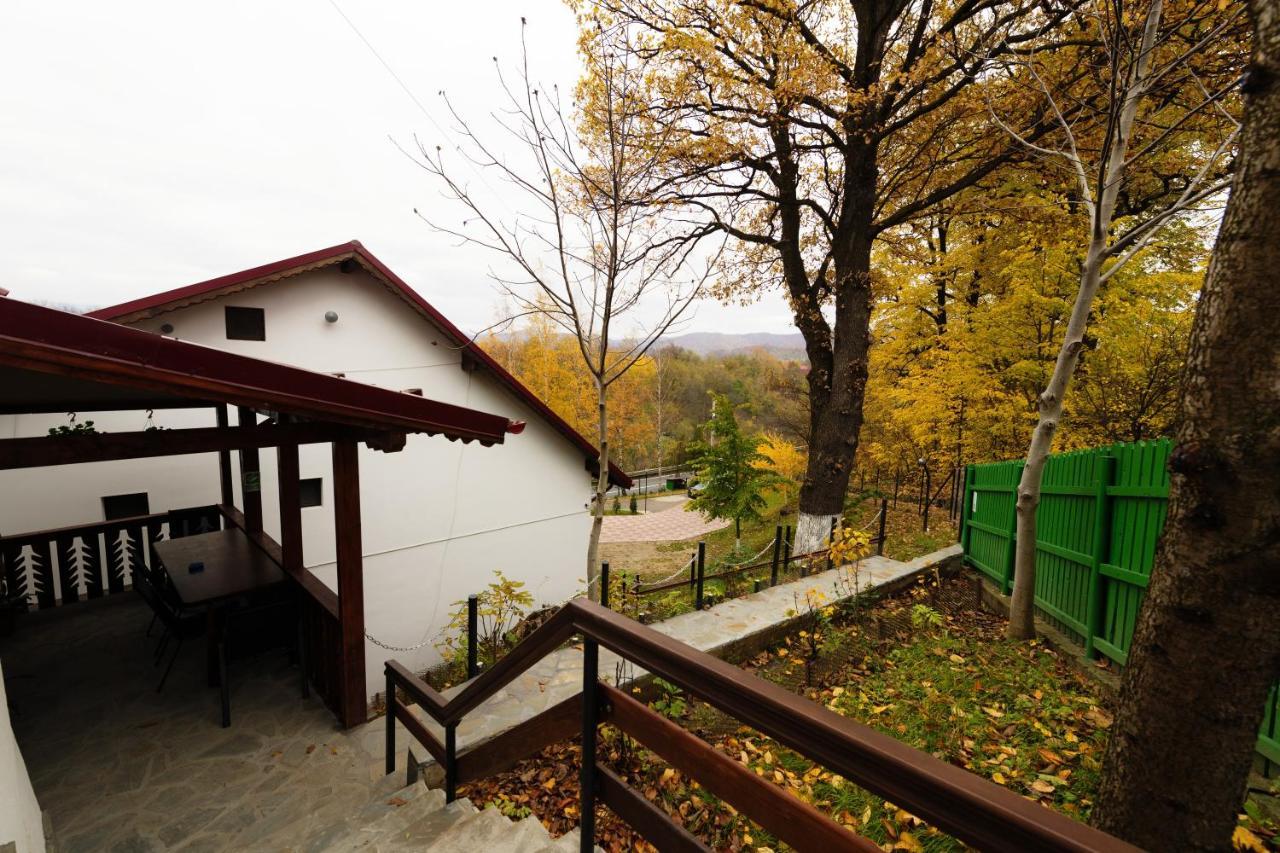 Hotel Stejarul Lui Andrei Izvoarele  Exterior foto