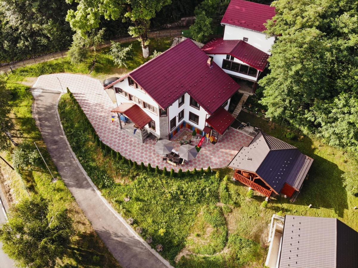 Hotel Stejarul Lui Andrei Izvoarele  Exterior foto