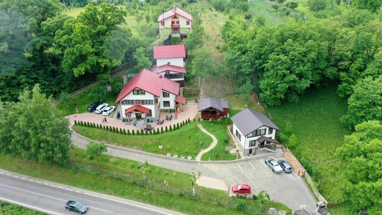 Hotel Stejarul Lui Andrei Izvoarele  Exterior foto