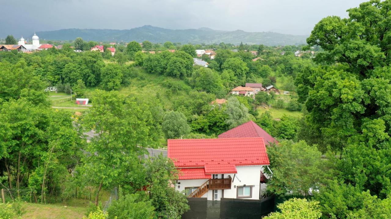 Hotel Stejarul Lui Andrei Izvoarele  Exterior foto